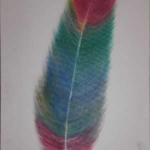 abstract feather